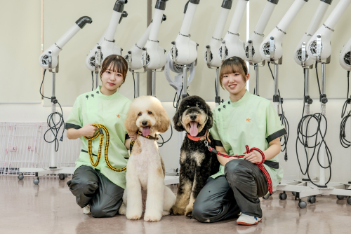 ＹＩＣ京都ペット総合専門学校