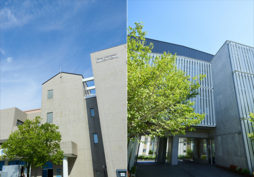 多摩大学