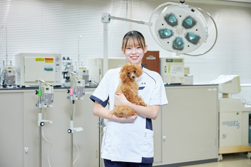 大宮国際動物専門学校