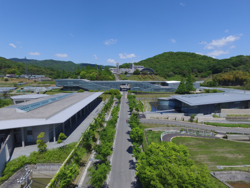 環太平洋大学