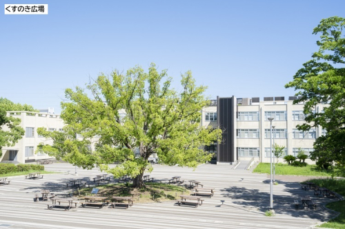 くすのき広場