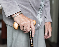 福祉学系学科