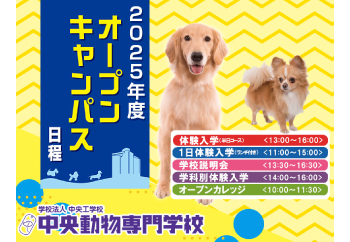 中央動物専門学校