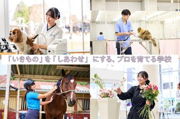 専門学校ちば愛犬動物フラワー学園
